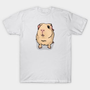 Cream Guinea Pig T-Shirt